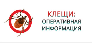 Клещи: ОПЕРАТИВНАЯ ИНФОРМАЦИЯ